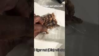 Wetin be this ‍️ #tigernuts #ofio @JojoConnect