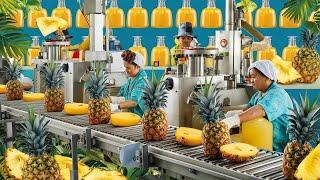 how pineapple juice is made in factories. the team tomorrow