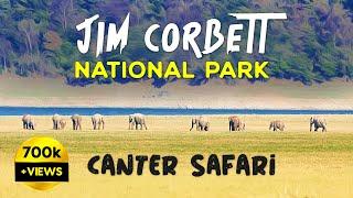 Canter Safari at Jim Corbett National Park, Dhikala 2023 - 4K Video Hindi | हिन्दी