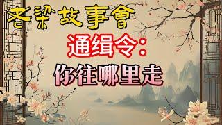 《老梁故事會》【老梁觀世界】通緝令背後的故事：從南京槍擊案到“三國殺”通緝令，犯罪分子如何躲避追捕#老梁故事会#梁宏达#老夏杂谈？#通緝令 #南京槍擊案 #犯罪分子 #懸賞緝拿  #社會熱點