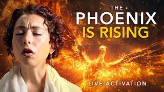 The Phoenix is Rising // Live Activation