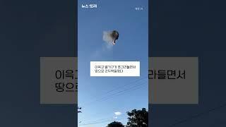 공중에서 불길이 '활활'...21명 탑승한 열기구 추락