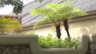 21 Harbor Ridge, Newport Beach CA Renee West