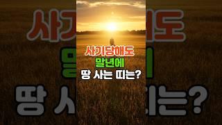 초년엔 사기만 당했지만, 말년에 땅 사는 띠는?  #띠운세 #운세  #재물운 #금전운 #땅매매