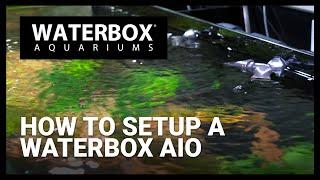 How To Setup AIO Aquarium from Waterbox Aquariums