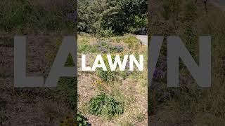 Do You Need Lawn? No.