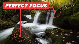 Is Focus Stacking REALLY This Easy?!