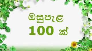 100 Ayurveda plant’s  in Srilanka