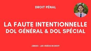 La faute intentionnelle en droit pénal - Dol général et dol spécial