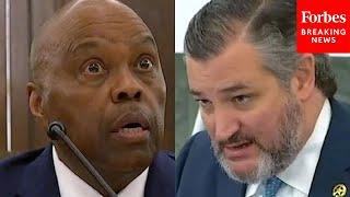'Your Record Is Woefully Lacking': Ted Cruz Confronts Biden FAA Nominee Over Aviation Experience