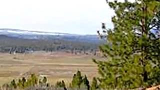 Homes for Sale - LOT 27 RIM DR SPRAGUE RIVER OR 97639 - Sheree Mauro