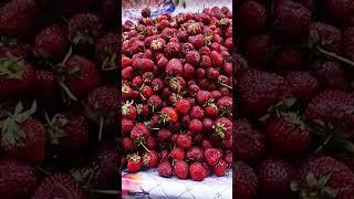 Цена на клубнику и черешню 19 июня
