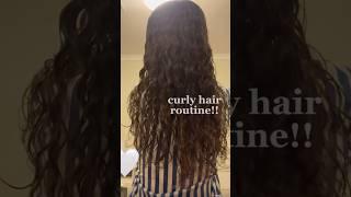 *ASMR* curly hair routine!!  #asmr #shorts #fyp #curls #viral