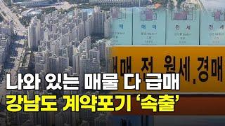 나와있는 매물 다 급매"..쏟아지는 경매 아파트, 강남도 계약포기 '속출'...계엄 충격에 환율 폭등까지...부동산 거품이 꺼질 수 밖에 없는 이유.