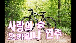 사랑의 숲/ 오카리나 연주/소지로