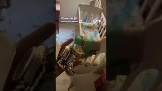 Israeli-Filipino soldier loots Palestinian home and posts video on Tik Tok.