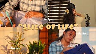 ||Slice of life Malayalam🪩|| Aesthetic study vlog| Journaling | planting|Hobbies🪀️