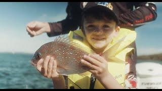 The Importance of Shellfish Reefs (Growing River Stewardship)