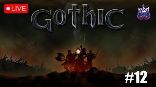 Walczi gra w: Gothic LIVE 12