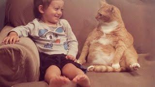 When your child and cat share a home, their love is unconditional 