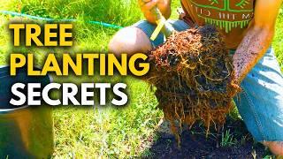 10 Tree Planting Secrets That Took Me 10 Years to Learn