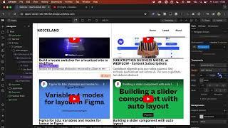 Webflow CMS Collections 2024
