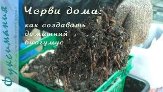 Биогумус мечты: опыт организации домашней червефермы / @Qgarden