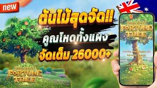 เกมสล็อต สล็อตน่าเล่น เว็บตรง true wallet 2024  Prosperity Fortune Tree : ต้นไม้จัดเต็มปังๆ