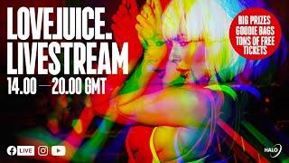 LoveJuice Live Stream - November 2020 (Part I)