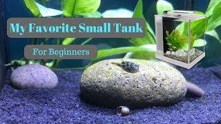 BEST AQUARIUM FOR BEGINNERS