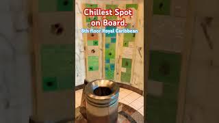 Coolest Spot On Board. 8th floor ​⁠ #royalcaribbean #cruise #shorts #travel #fun #viralvideo ​⁠#love