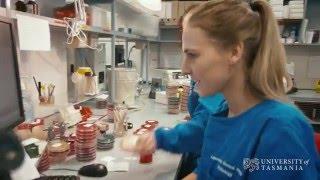 What does a microbiologist do? | University of Tasmania