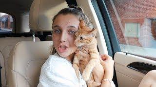 I DID SOMETHING CRAZY (i adopted a cat....)