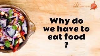 Why do we need to eat food?