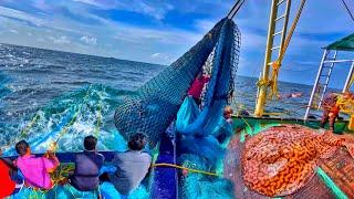 Amazing Day-4 Fishing | We Caught Tons Of Variety Fishes & Electric Rays | Deep Sea Fishing |DAY-4|