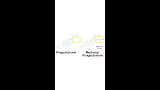 The difference between bio identical and synthetic progesterone