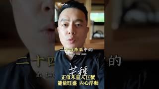 昨天是芒種，再加上木星將入在巨蟹，生命能量強大，我們的脾氣心情可能也隨著起伏，什麼可以做？有什麼禁忌？6/6直播來談談特別的時節，用元辰宮能量！ #星座 #星光體 #情感 #身心靈氣功 #感情