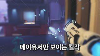  메이5년차의 킬각