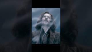 Sirius Black’s Final Stand: Heartbreaking Loss in the Death Chamber | Order of the Phoenix 