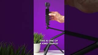Vlogging Tripod for DJI POCKET 3- PGYTECH MantisPod Z #djipocket3 #pgytech