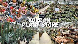 HUGE KOREAN PLANT STORE TOUR 🪴 (Part 2) 에르베플라워아울렛