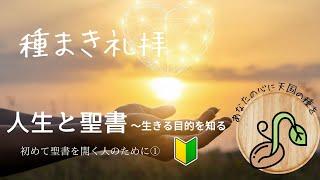 2024年7月21日　種まき礼拝　「人生と聖書〜生きる目的を知る」　創世記1章1節、26節〜28節 【字幕・チャプターつき】