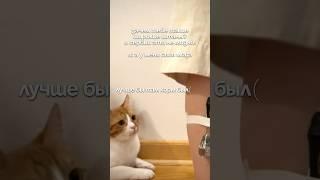 артикулы на пиво и ракию в лс #Эмигрант #ЖизньЗаГраницей#юмор #ЖизньВНовойСтране#Эмигранты #стиль