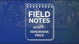 FIELD NOTES: Kendriana Price