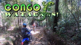 CONGO in the WATAGANS! Yamaha WR250R, WR250F, KTM, Husaberg,  husqvarna.