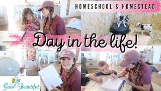DAY IN THE LIFE || CALIFORNIA WINTER || HOMESCHOOL & HOMESTEADING