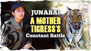 Junabai- A Mother Tigress's Constant Battle || Monsoon Vlog || 4K Vlog || Sadaa Wild Stories