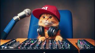 EMOTIONAL CAT STORIES WITH RELAXING BACKGROUND MUSICRELAXING FM RADIO FOR SLEEP AND TRANQUILITY