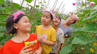 Loc TiVi Eating Salted Cucumbers in the Field, Catching Crabs and Eating Deliciously