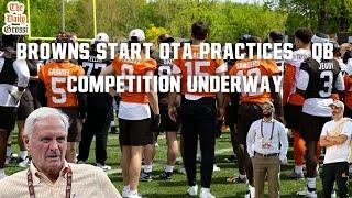 BROWNS QB BATTLE HEATS UP AS TEAM OTA PRACTICES UNDERWAY - The Daily Grossi